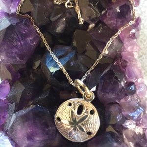 14kt White Gold Sand Dollar Pendant w/Chain